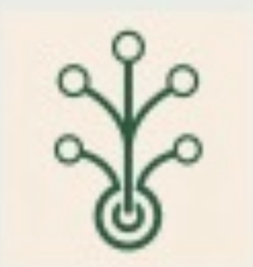 Cardbranch